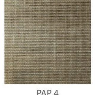 PAP-4