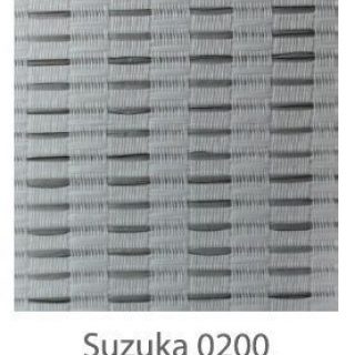 Suzuka-0200