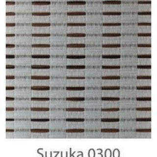 Suzuka-0300