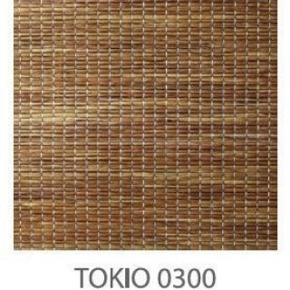 Tokio-0300